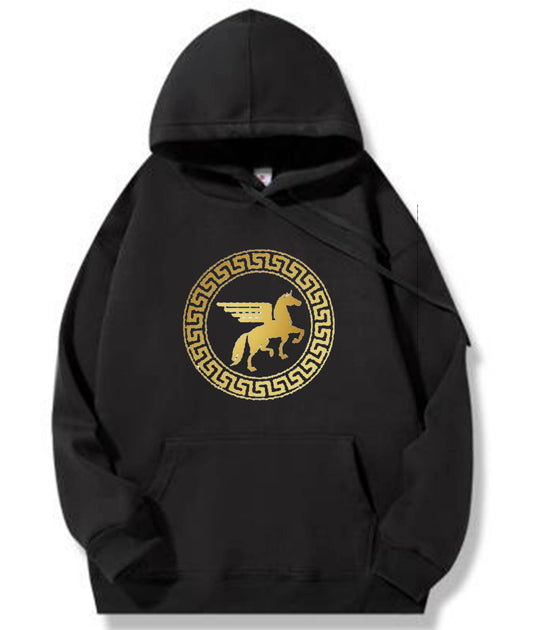 SULAIMAANI Hoodies Embroidered Cotton Unisex Sweatshirt High Quality Tracksuit Heavy Weight Hoodies